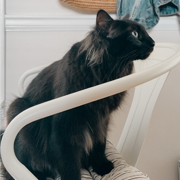 👋🏼H E Y, I T' S  T A Y. 🤎 ✨ - Picture 12 of 16